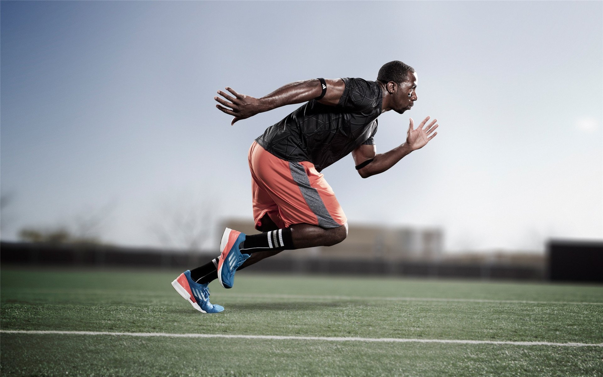 新星崛起，未来之星的闪耀时刻！，未来之星正在冉冉升起